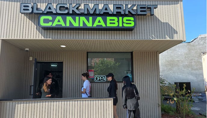 Black Market Canna - Poughkeepsie logo