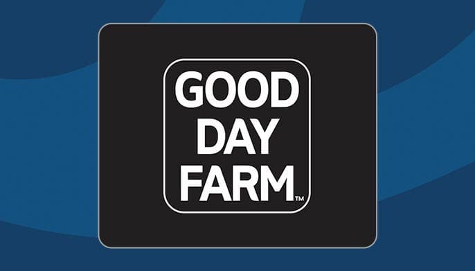 GDF - Boonville logo