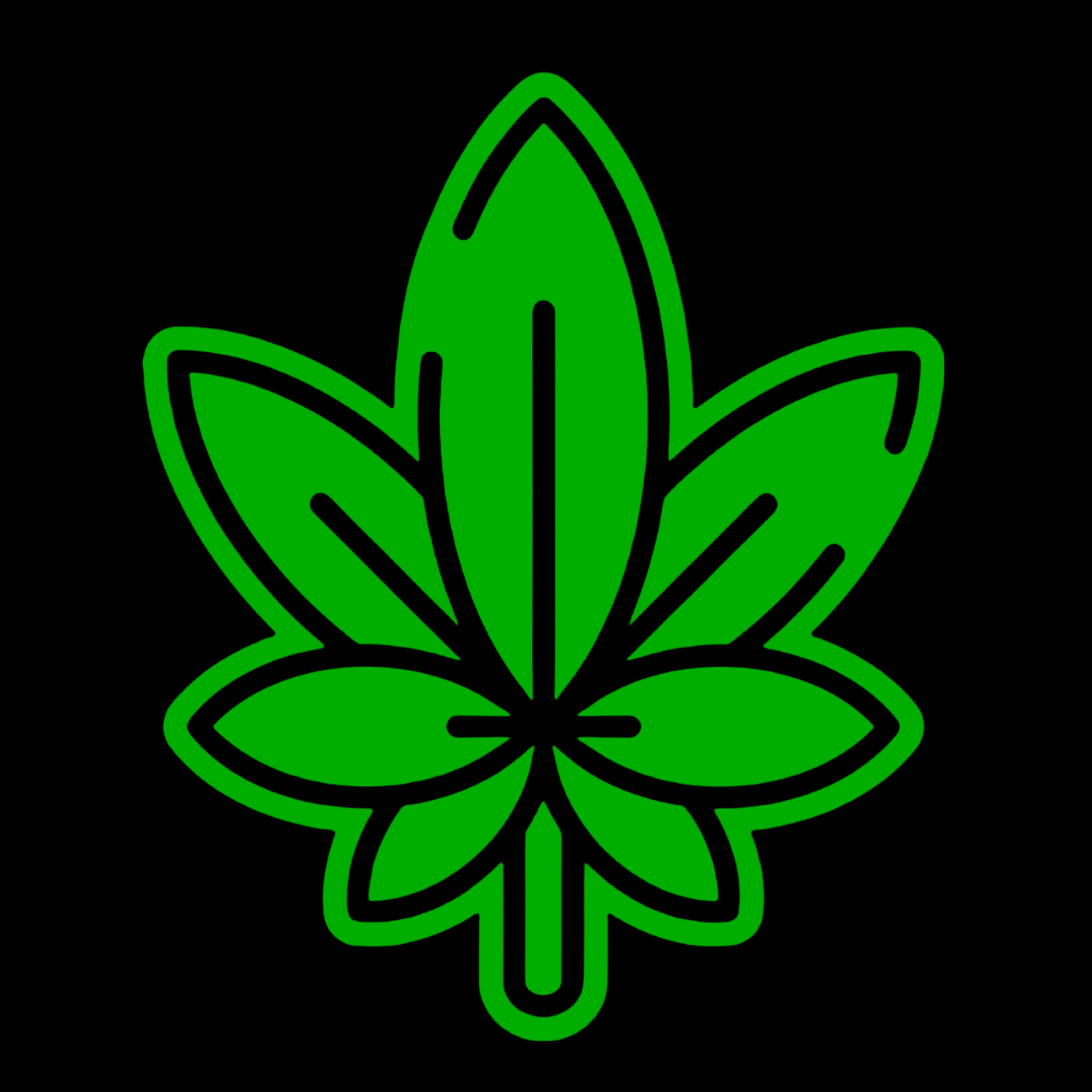 Hi Cannabis logo