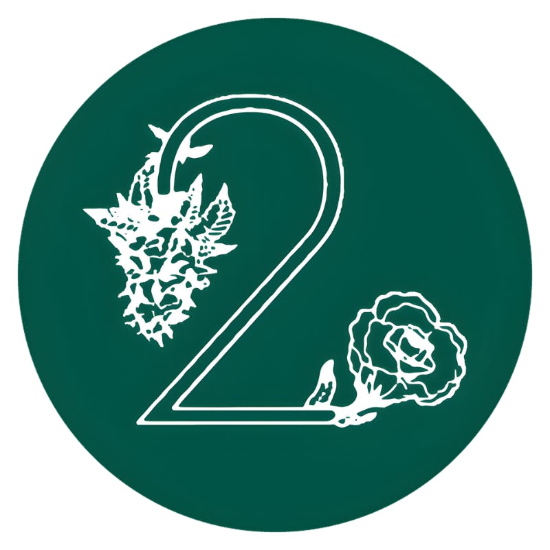 Bud 2 Bloom Dispensary logo
